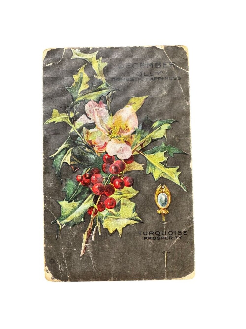 Antique 1909 Postcard December Holly Flowers Turquoise Prosperity Vtg Ephemera